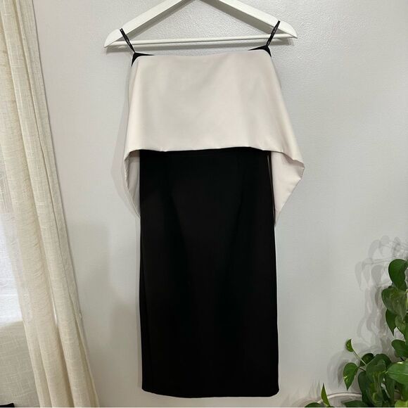 Bardot Strapless Color-block Dress - Picture 2 of 7